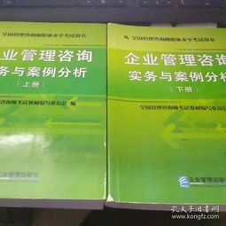企業管理咨詢實務與案例分析