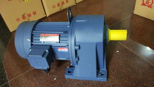 小微型減速電機(jī)報(bào)價(jià)與微型電動(dòng)機(jī)廠家選擇指南